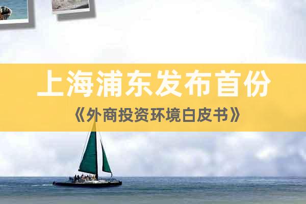 上海浦东发布首份《外商投资环境白皮书》