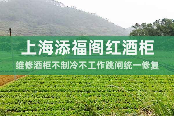 上海添福閣紅酒柜維修酒柜不制冷不工作跳閘統(tǒng)一修復(fù)