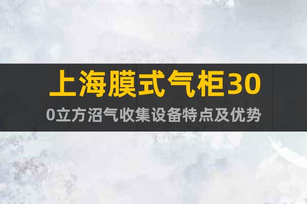 上海膜式氣柜300立方沼氣收集設(shè)備特點(diǎn)及優(yōu)勢(shì)