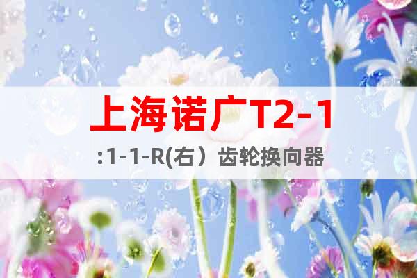 上海諾廣T2-1:1-1-R(右）齒輪換向器