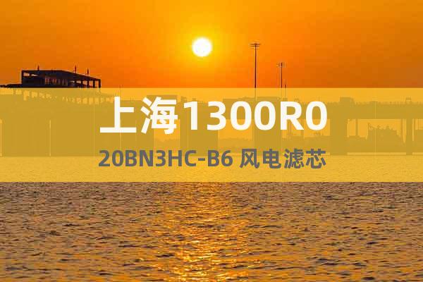 上海1300R020BN3HC-B6 風(fēng)電濾芯