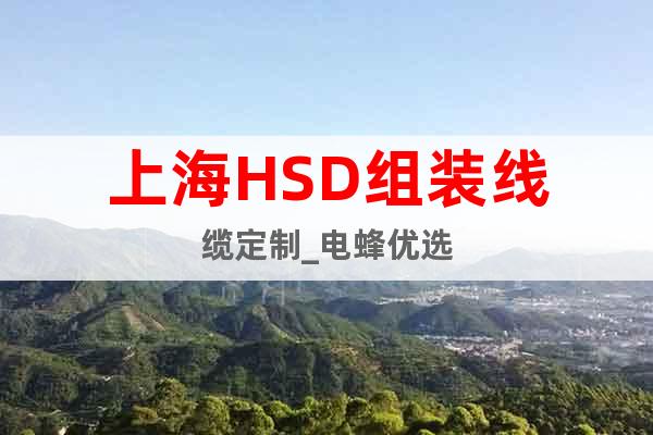 上海HSD组装线缆定制_电蜂优选