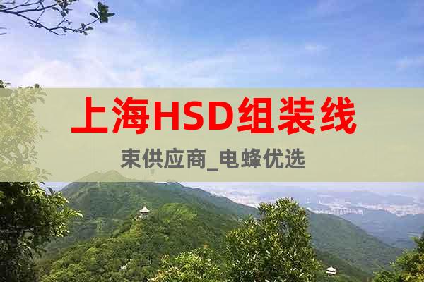 上海HSD组装线束供应商_电蜂优选