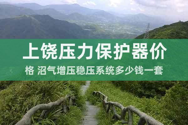 上饒壓力保護器價格 沼氣增壓穩(wěn)壓系統(tǒng)多少錢一套