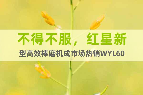 不得不服，紅星新型高效棒磨機成市場熱銷WYL60