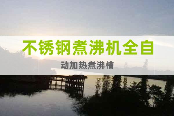 不锈钢煮沸机全自动加热煮沸槽