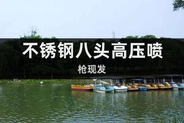 不銹鋼八頭高壓噴槍現(xiàn)發(fā)