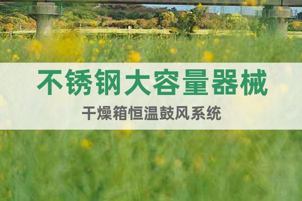不銹鋼大容量器械干燥箱恒溫鼓風(fēng)系統(tǒng)