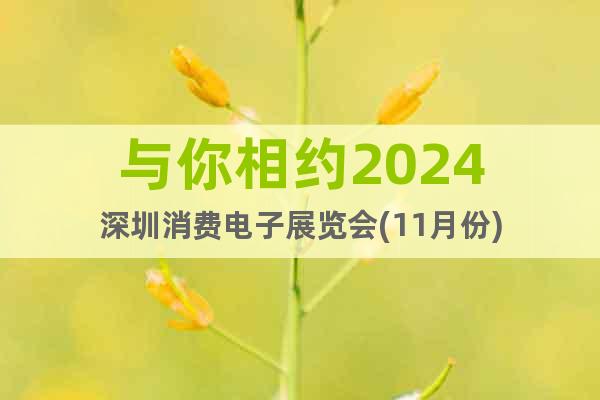 與你相約2024深圳消費電子展覽會(11月份)