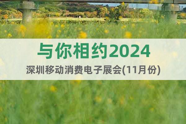 与你相约2024深圳移动消费电子展会(11月份)