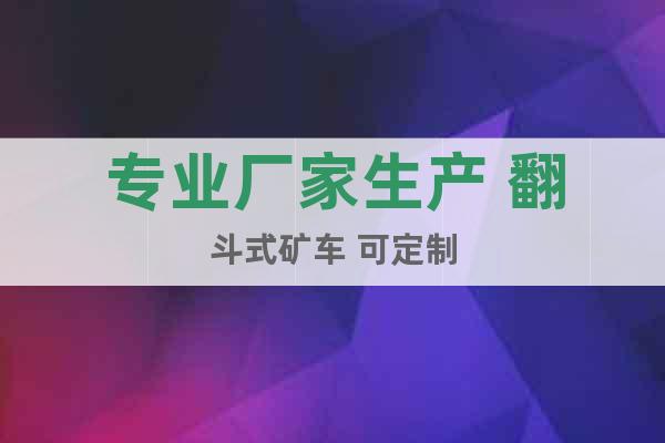 專業廠家生產 翻斗式礦車 可定制
