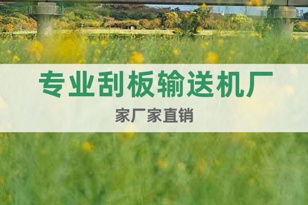 專業(yè)刮板輸送機廠家廠家直銷