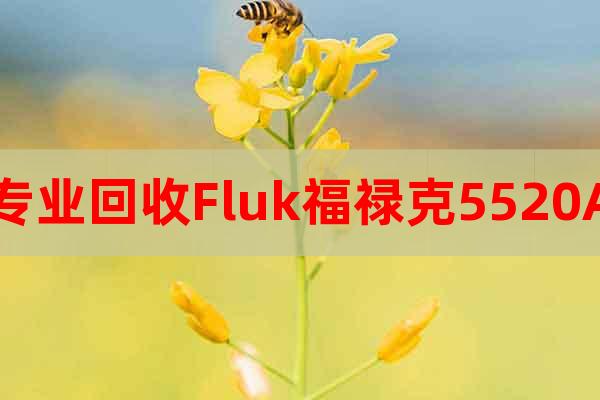 專業(yè)回收Fluk福祿克5520A