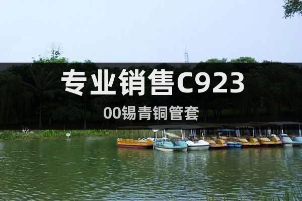 專業銷售C92300錫青銅管套