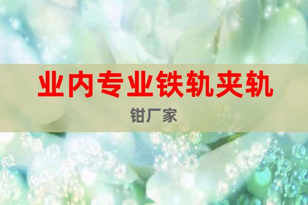 業(yè)內(nèi)專業(yè)鐵軌夾軌鉗廠家