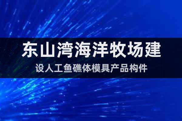 東山灣海洋牧場建設人工魚礁體模具產(chǎn)品構件