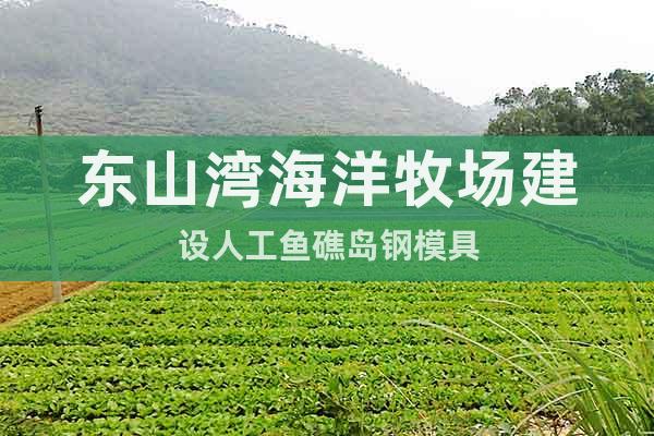 東山灣海洋牧場建設人工魚礁島鋼模具
