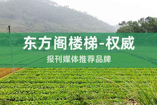 東方閣樓梯-權威報刊媒體推薦品牌