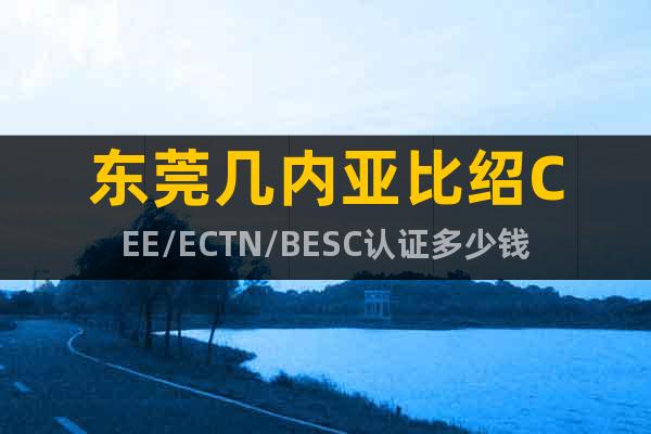 东莞几内亚比绍CEE/ECTN/BESC认证多少钱
