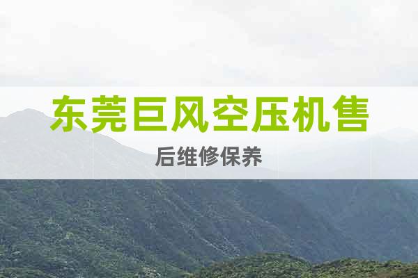 東莞巨風(fēng)空壓機(jī)售后維修保養(yǎng)