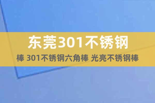 東莞301不銹鋼棒 301不銹鋼六角棒 光亮不銹鋼棒301