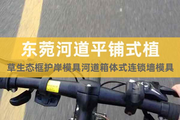 東菀河道平鋪式植草生態(tài)框護岸模具河道箱體式連鎖墻模具制造企業(yè)