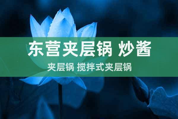 東營夾層鍋 炒醬夾層鍋 攪拌式夾層鍋