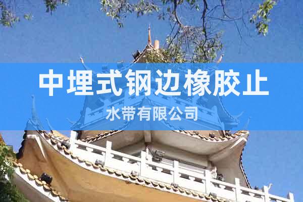 中埋式鋼邊橡膠止水帶有限公司