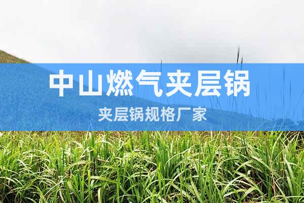 中山燃氣夾層鍋 夾層鍋規(guī)格廠家