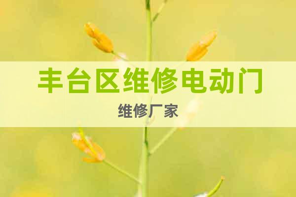 豐臺區(qū)維修電動門維修廠家