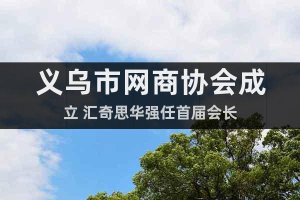 义乌市网商协会成立 汇奇思华强任首届会长