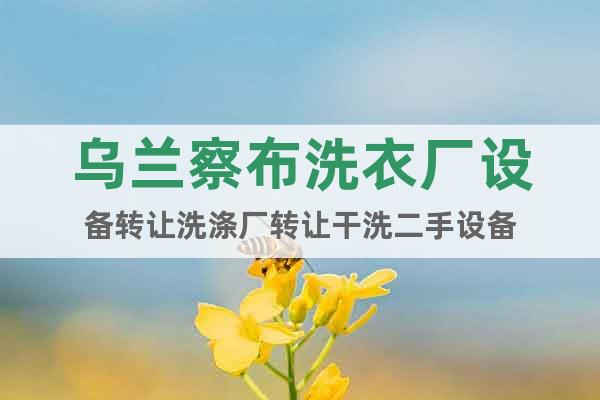 烏蘭察布洗衣廠設備轉讓洗滌廠轉讓干洗二手設備