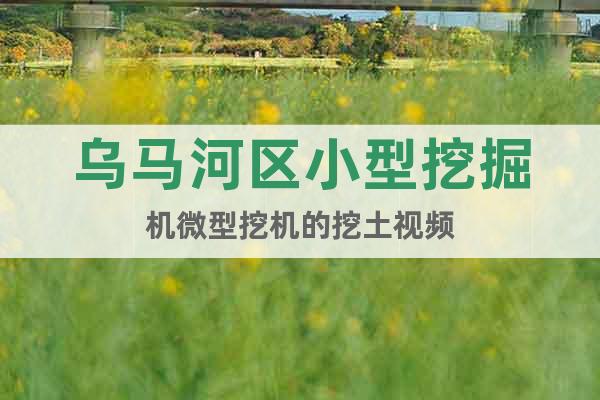 烏馬河區(qū)小型挖掘機(jī)微型挖機(jī)的挖土視頻