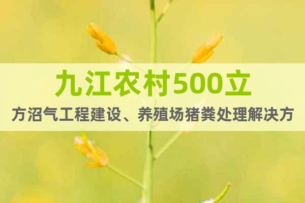九江农村500立方沼气工程建设、养殖场猪粪处理解决方案