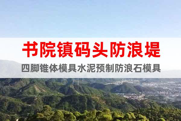 書院鎮(zhèn)碼頭防浪堤四腳錐體模具水泥預(yù)制防浪石模具