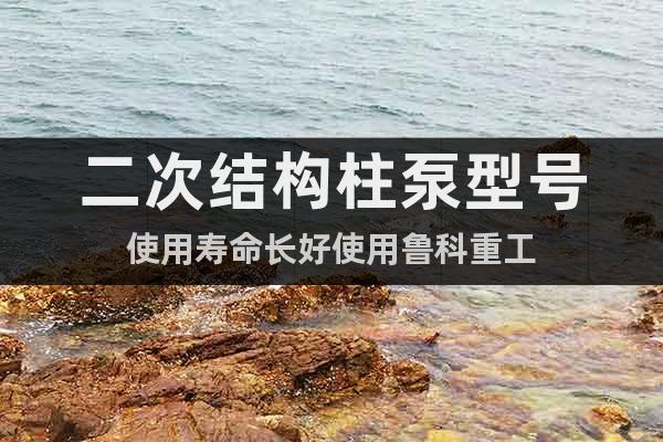 二次結(jié)構(gòu)柱泵型號(hào)使用壽命長(zhǎng)好使用魯科重工