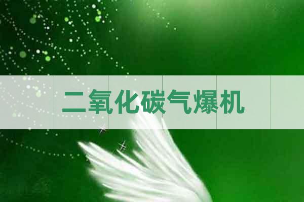 二氧化碳?xì)獗瑱C(jī)