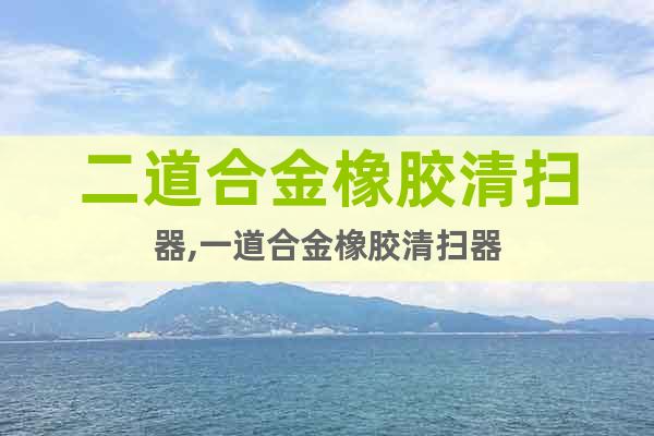 二道合金橡膠清掃器,一道合金橡膠清掃器