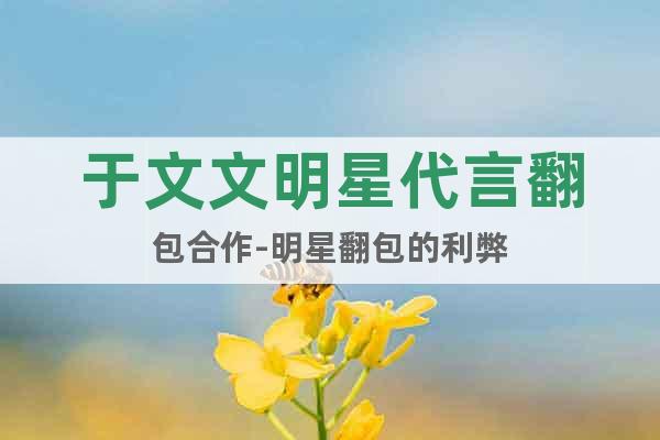 于文文明星代言翻包合作-明星翻包的利弊