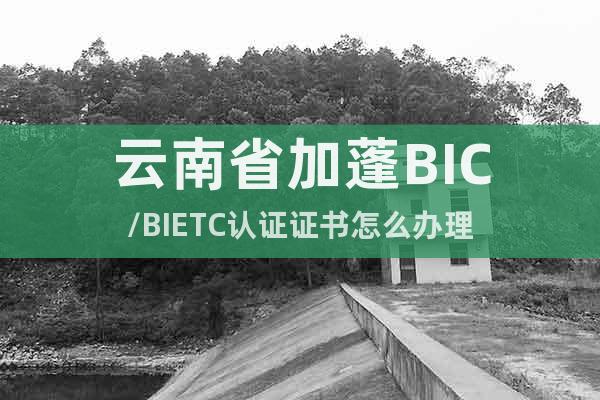 云南省加蓬BIC/BIETC认证证书怎么办理