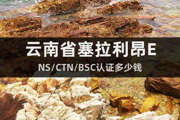 云南省塞拉利昂ENS/CTN/BSC认证多少钱