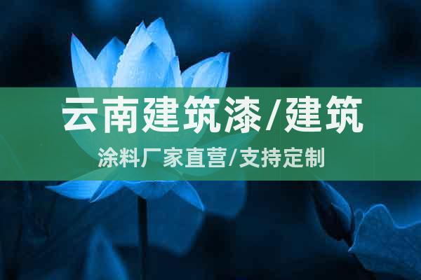 云南建筑漆/建筑涂料廠家直營/支持定制