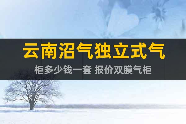 云南沼氣獨(dú)立式氣柜多少錢一套 報(bào)價(jià)雙膜氣柜