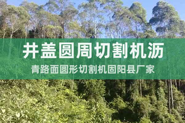 井蓋圓周切割機(jī)瀝青路面圓形切割機(jī)固陽(yáng)縣廠(chǎng)家