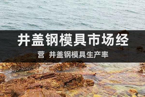 井蓋鋼模具市場經(jīng)營  井蓋鋼模具生產(chǎn)率