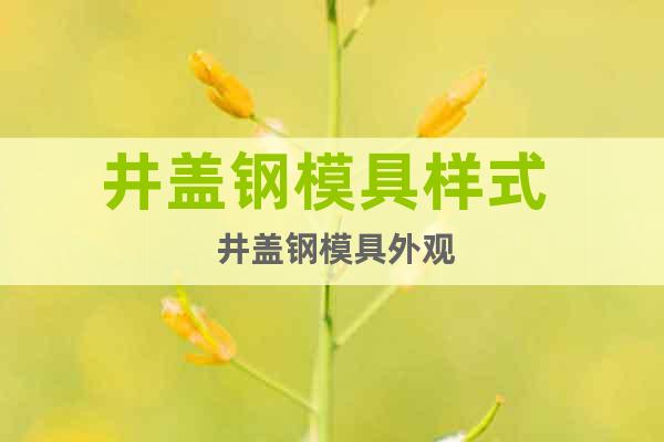 井蓋鋼模具樣式  井蓋鋼模具外觀