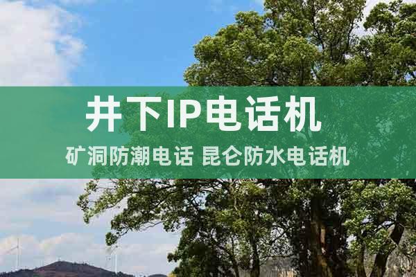 井下IP電話機 礦洞防潮電話 昆侖防水電話機