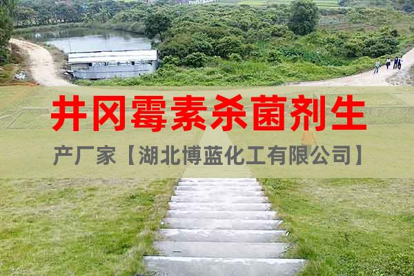 井岡霉素殺菌劑生產(chǎn)廠家【湖北博藍(lán)化工有限公司】