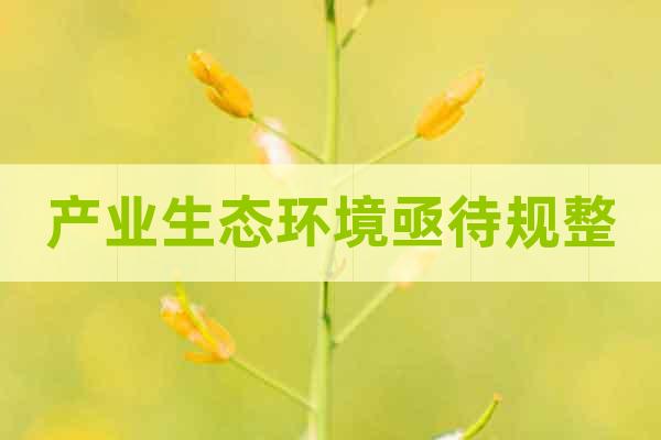 產(chǎn)業(yè)生態(tài)環(huán)境亟待規(guī)整