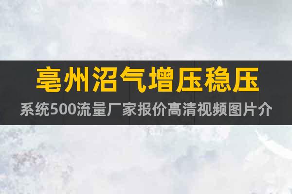 亳州沼氣增壓穩(wěn)壓系統(tǒng)500流量廠家報(bào)價(jià)高清視頻圖片介紹